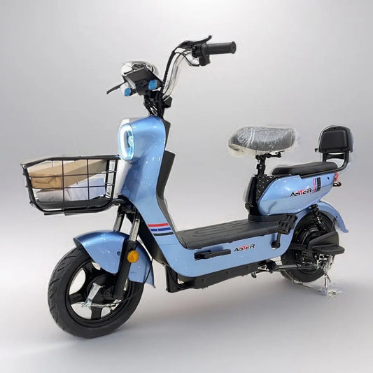 electric bike for delivery