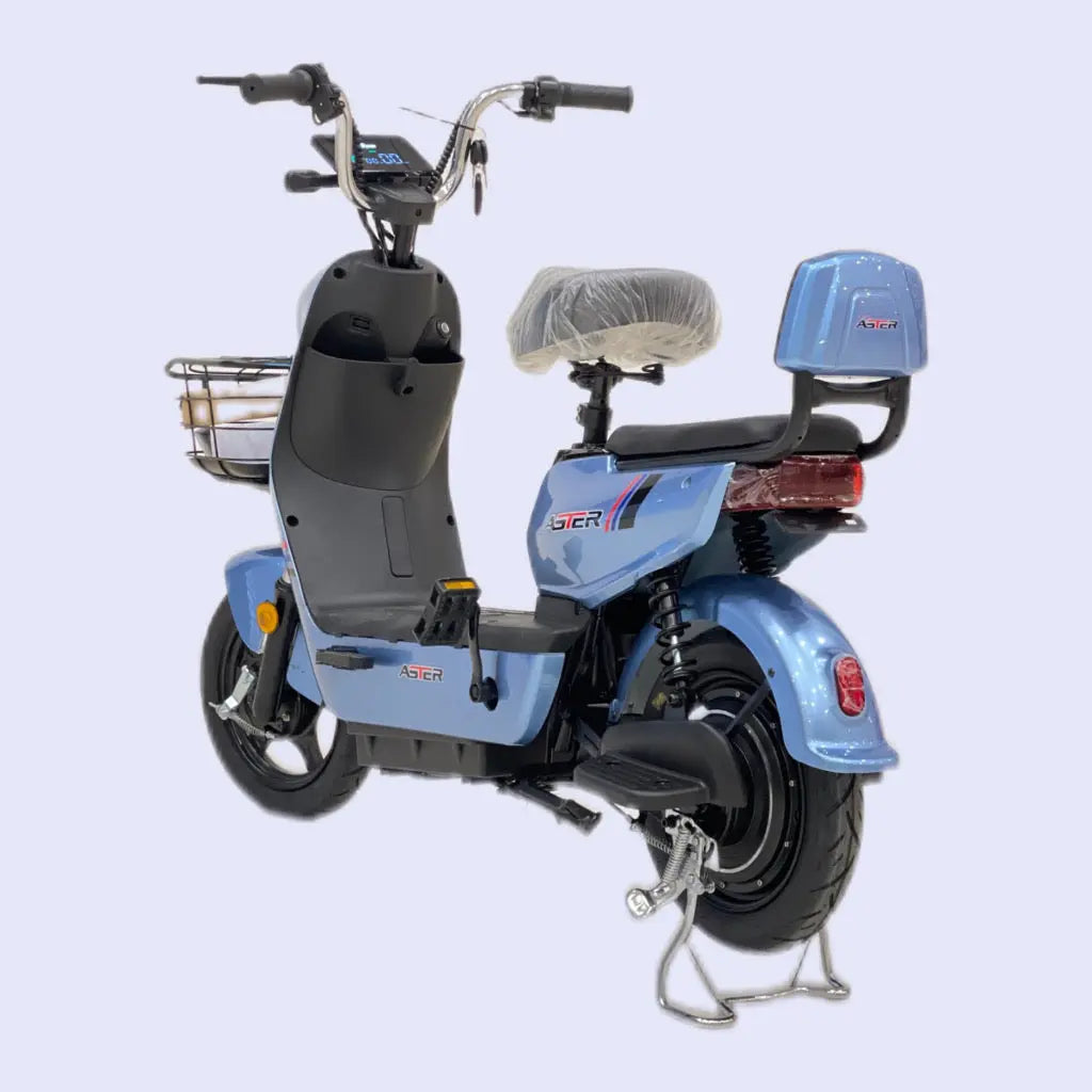 electric bike for delivery