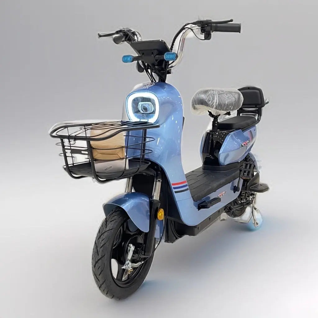 electric bike for delivery