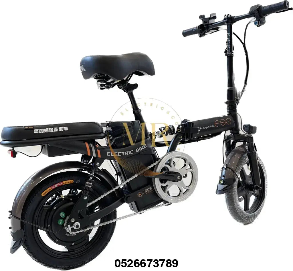 folding electric bike