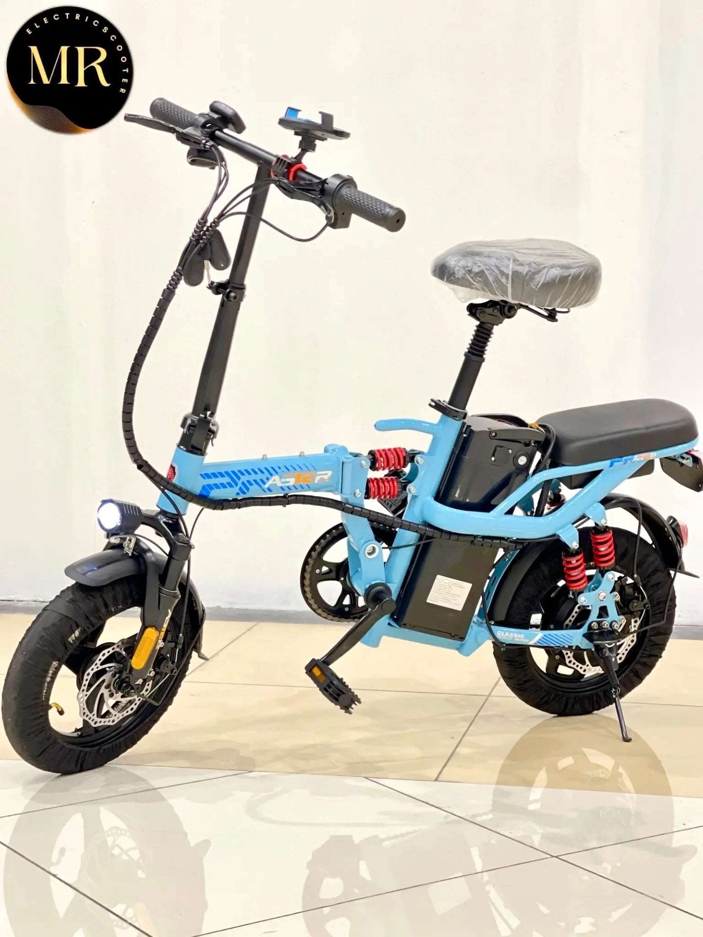 folding electric bike