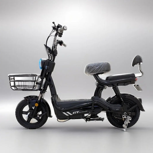 electric bike 2024